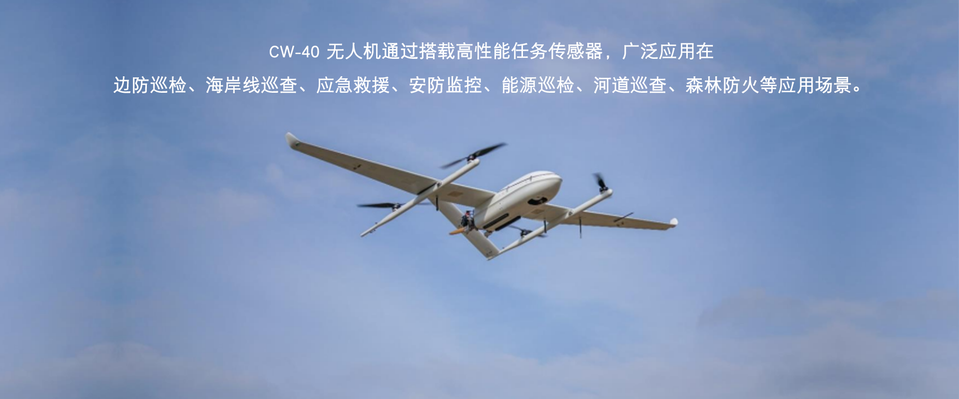 縱橫大鵬CW-40